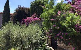 Le Finestre Sugli Ulivi